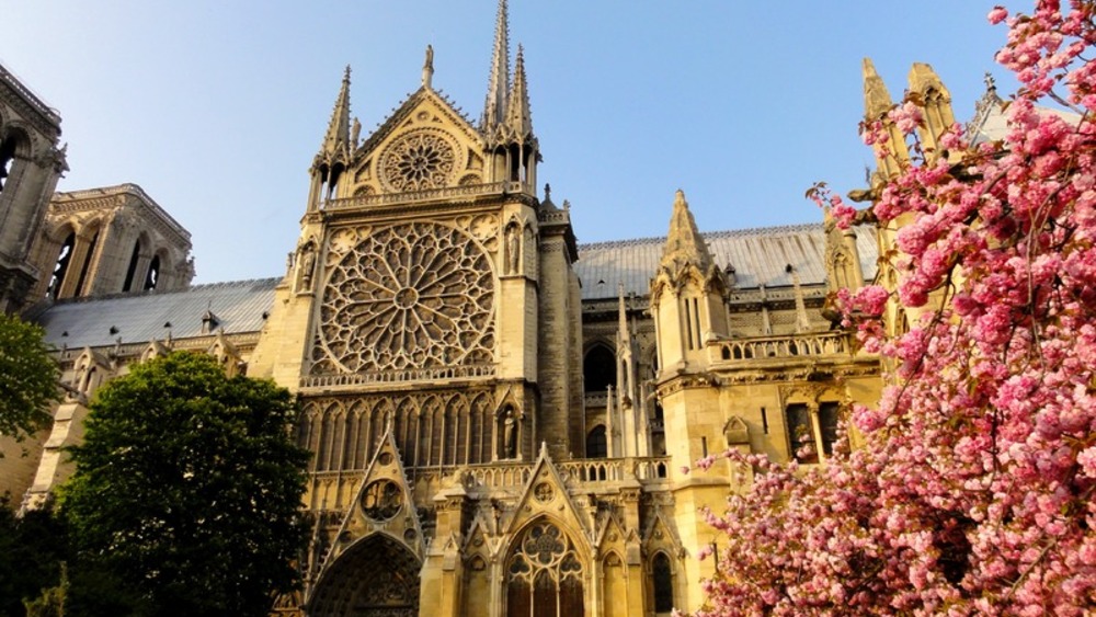 Katedra Notre Dame, Paryż
