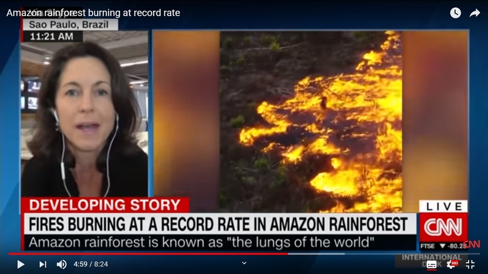 Pożary lasów Amazonii