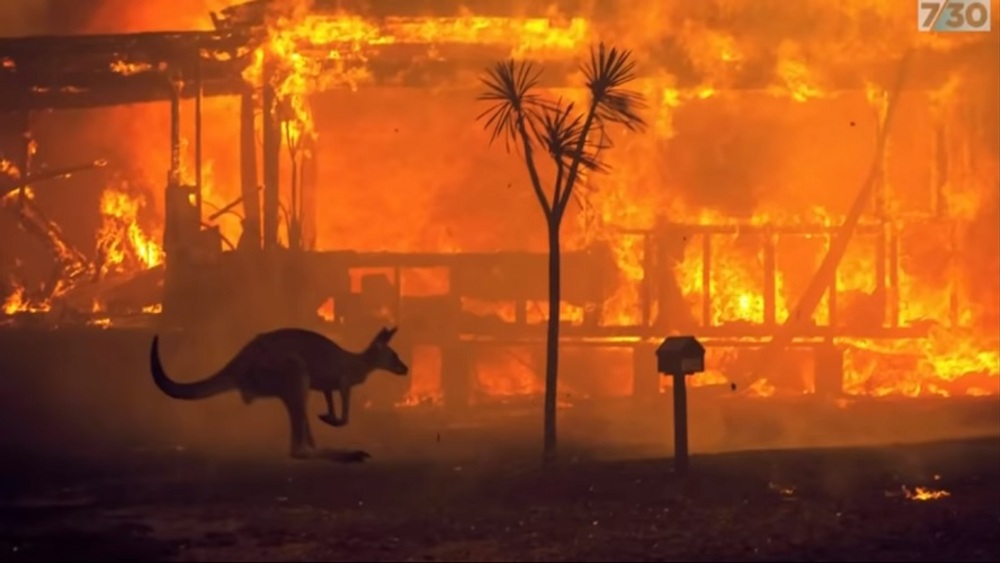 Sztuczny deszcz nad Australią – jak zatrzymać katastrofę ekologiczną?