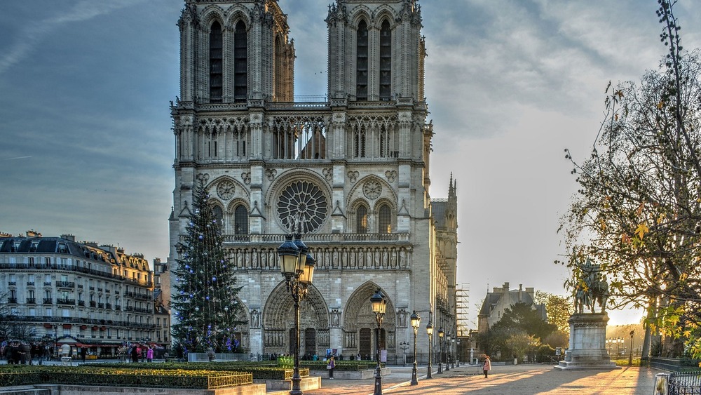 Katedra Notre Dame