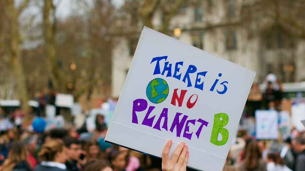 Protest aktywistów klimatycznych