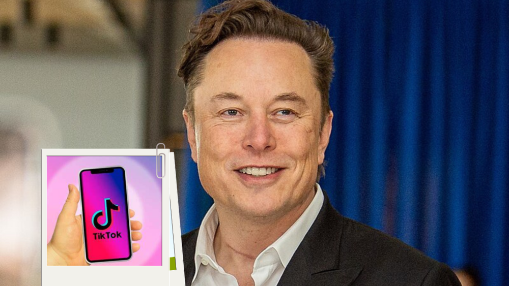 Musk kupi TikTok