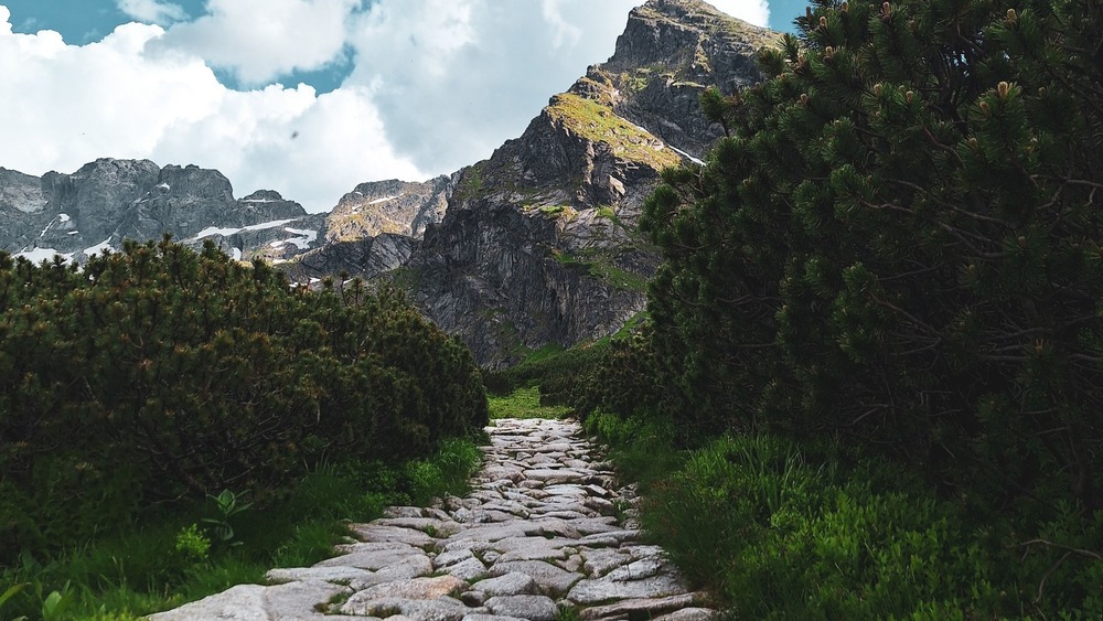 Tatry