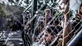 Źli polscy rolnicy znowu zagrażają „biednym uchodźcom”(FELIETON)