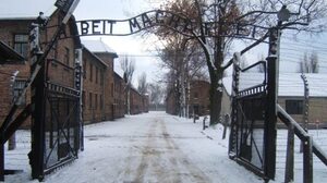 W Strasbourgu odnaleziono szczątki osób zagazowanych w obozie w Auschwitz