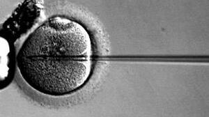 Skutek uboczny in vitro - rak jajnika?