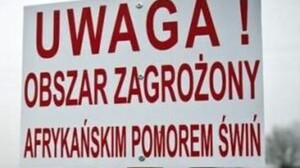 Po 8 latach rządzenia Platforma ma się otworzyć na młodych i wieś