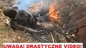 Watykan w ONZ upomina się o prawa chrześcijan. UWAGA! DRASTYCZNE VIDEO!