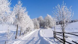 Osiedlają imigrantów ale... za kołem podbiegunowym