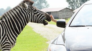 Markowski: Łódzkie ZOO znowu pogrzało… (FELIETON)