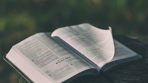 Sztuczna inteligencja pomaga tłumaczyć Biblię na rzadkie języki