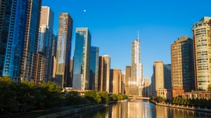 Lewackie miasto, lewackie obyczaje – mieszkańcy Chicago uczcili śmierć szczura kanałowego (FELIETON)