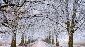 Kiedy spadnie pierwszy śnieg? Meteorolodzy podali datę!