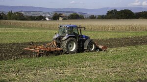 Patriotyzm konsumencki rolników. Badanie nie pozostawia wątpliwości