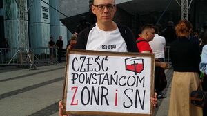 Nacjonalistyczni powstańcy warszawscy – ONR – NSZ (4.800) i SN - NOW AK (kilka razy więcej)