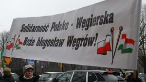 Manifestacja pod ambasadą Węgier. ZDJĘCIA!