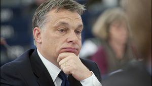 Orban nie gryzie się w język. Powiedział to o Ukrainie