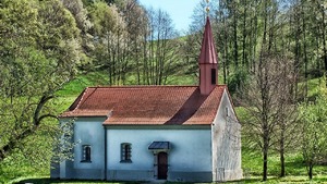 Irlandzcy biskupi postanawiają przywrócić naturze 30% terenów kościelnych do 2030 r.