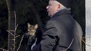 Jarosław Kaczyński to osoba o nieustalonej tożsamości?! Dlaczego przebywał w szpitalu jako NN?