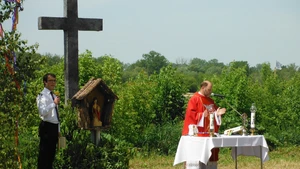 Zielone Świątki – „tatarak w kątki” (FELIETON)