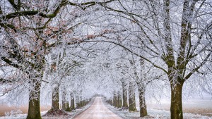 Kiedy spadnie pierwszy śnieg? Meteorolodzy podali datę!